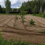 Продам, 9 соток, ИЖС