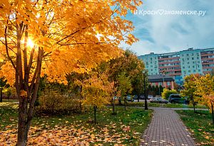 Золотая Осень 