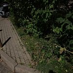 Почему вдоль дома по улице Гагарина 5 срезали металлические заборы?