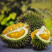 Дуриан