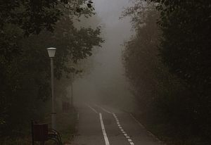 Туманная осень