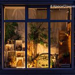 Красоты много не бывает