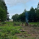 Несанкционированное сжигание древесных отходов в парке