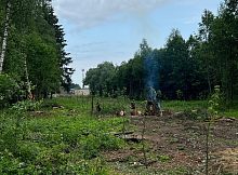 Несанкционированное сжигание древесных отходов в парке