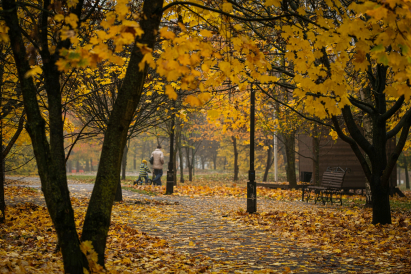 Золотая осень