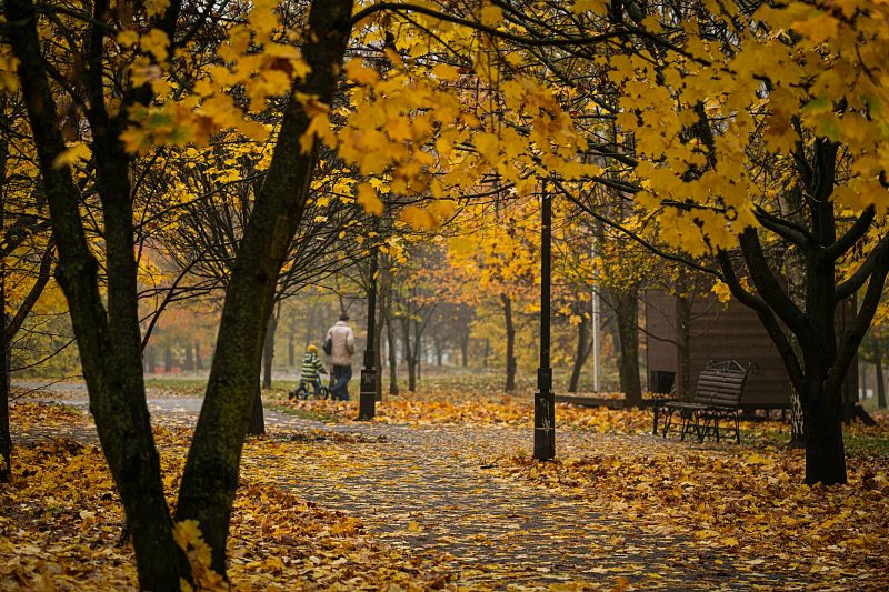 Золотая осень