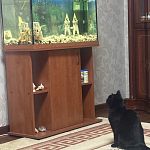 Продам аквариум 