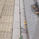 На Городском озере заметно обветшала брусчатка и ограждение — Краснознаменск