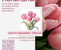 Тюльпаны к 8 Марта — цветы, которые говорят о чувствах без слов