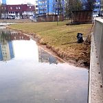 Началась очистка городского озера