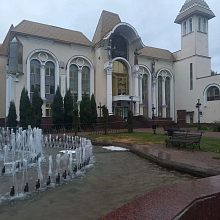 Кому мешала берёза возле фонтана?