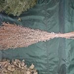 Веники банные 