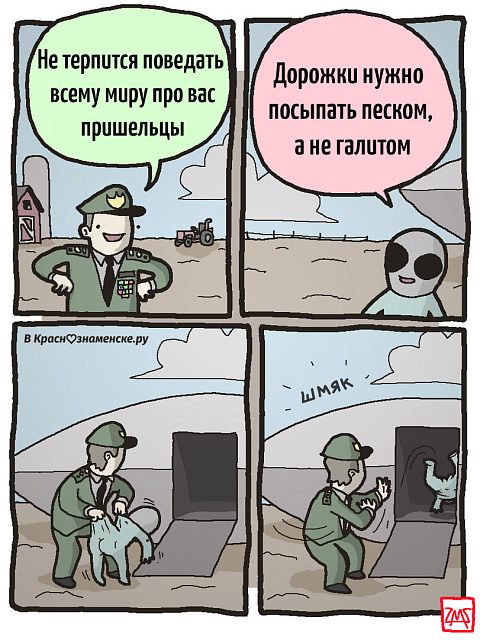 Дорожки нужно посыпать песком, а не галитом