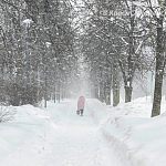 Всем, кто сейчас жалуется на жару, ровно через четыре месяца за окном будет совсем другая картина