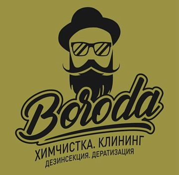 Химчистка Клининг BORODA