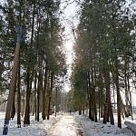 Весенняя прогулка по парку