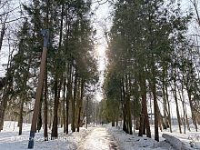 Весенняя прогулка по парку