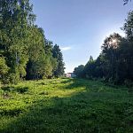 Каштановая аллея в ознаменование 80-летия Победы до сих пор не удостоилась никакой, хотя бы временной таблички