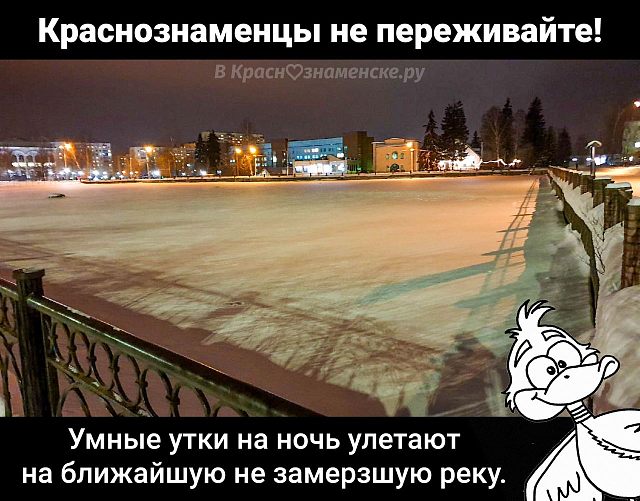 Умные утки