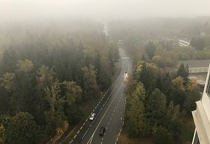 Атмосферное туманное утро