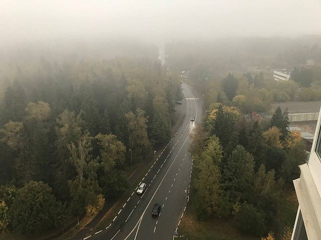 Атмосферное туманное утро