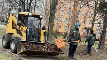 Сегодня на ул. Октябрьская проходит уборка территории от опавшей листвы
