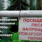 C 1 мая  за посещение леса в Подмосковье штраф от 2000р. до 400000р., за этим проследят рейды МЧС.