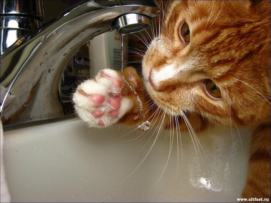 График планового отключения горячего водоснабжения в Краснознаменске