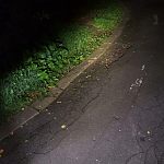 Ремонт велодорожек в парке — Краснознаменск