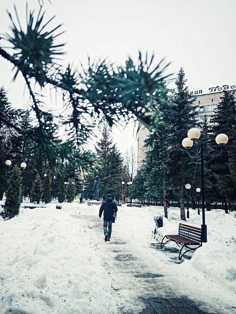 Февральский дождь