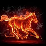 1 января в свои права вступит Огненная Лошадь