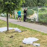 В Городском парке обновили несколько баннеров с фотографиями города