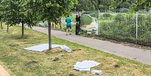 В Городском парке обновили несколько баннеров с фотографиями города
