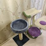 Когтеточка для животных