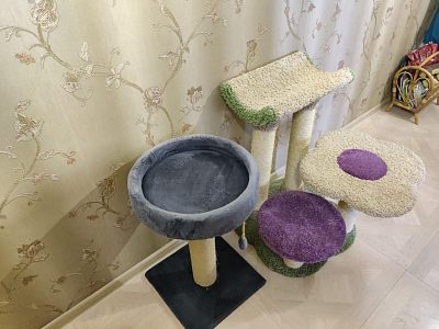 Когтеточка для животных