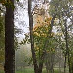 Осенняя сказка в Беличьем парке — Краснознаменск