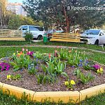 В городе уже появились первые цветочные клумбы, которые радуют взгляд