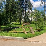 Спил сухостоя около церкви