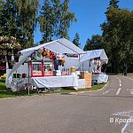 Праздничная торговля в Городском парке — Краснознаменск