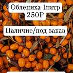 Облепиха ягода свежая 