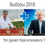 Выборы президента 2018