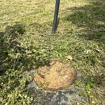 Продам, 6 соток, Садовый — Краснознаменск