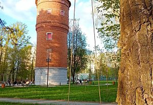 Беличий парк
