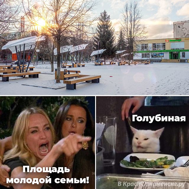 Площадь молодой семьи/голубиная
