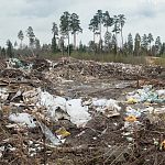 Рядом с лыжной трассой есть площадка, куда выгружают мусор