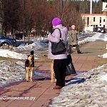 Нападение бездомных собак в Краснознаменске