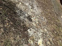 На Шлыкова 5Б около дома паутина и грибок после бытого мусора, летевшего с верхних этажей