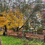 Прогулка по пасмурным улицам города — Краснознаменск