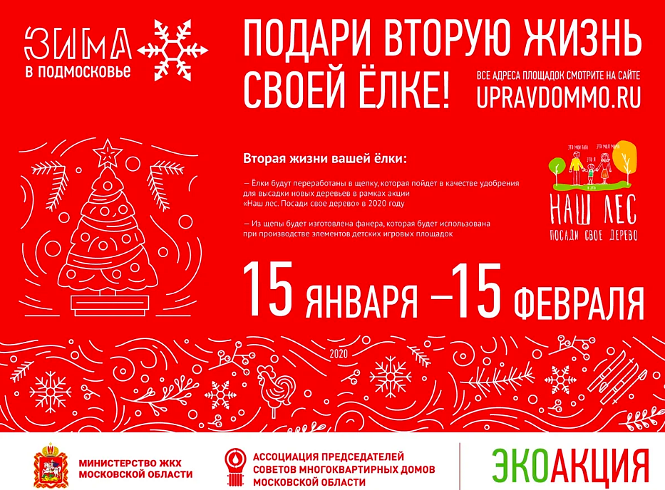 Ежегодная экологическая акция «Подари своей елке вторую жизнь»