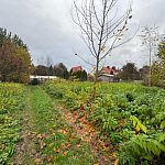 Продам, 16 соток, ИЖС — Краснознаменск